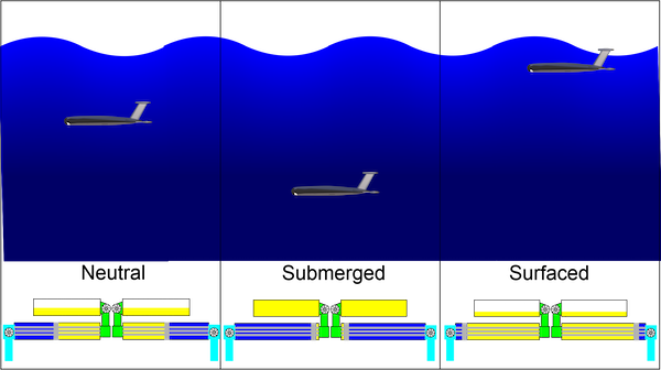 Submerged-and-surfacing-1