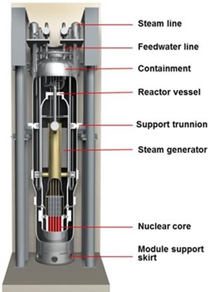 nuscale